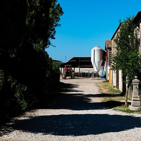 Dimora Iannelli - B&B Rurale เพสตุม ภายนอก รูปภาพ